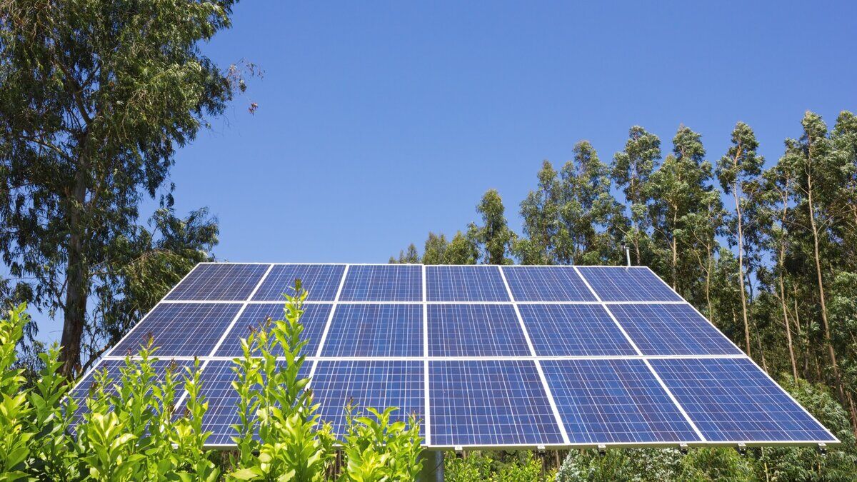 Energía solar industrial para el sector Agricultura en México